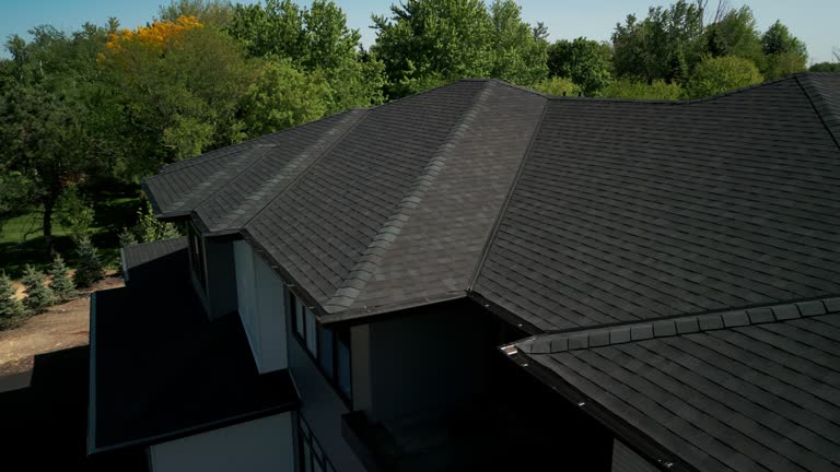 Best Chimney Flashing Repair  in Roy, UT