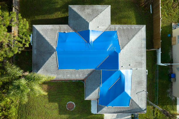 Best Roof Maintenance and Cleaning  in Roy, UT
